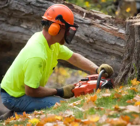 tree services Minneota